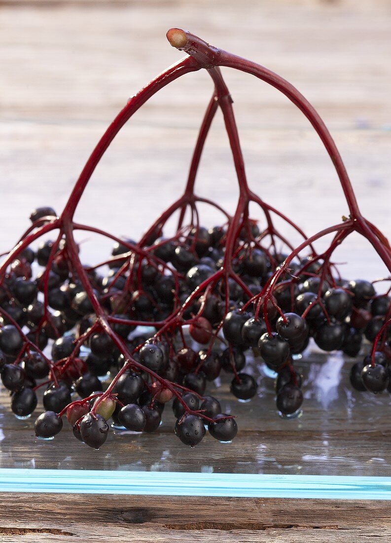 Fresh elderberries on a glass plate