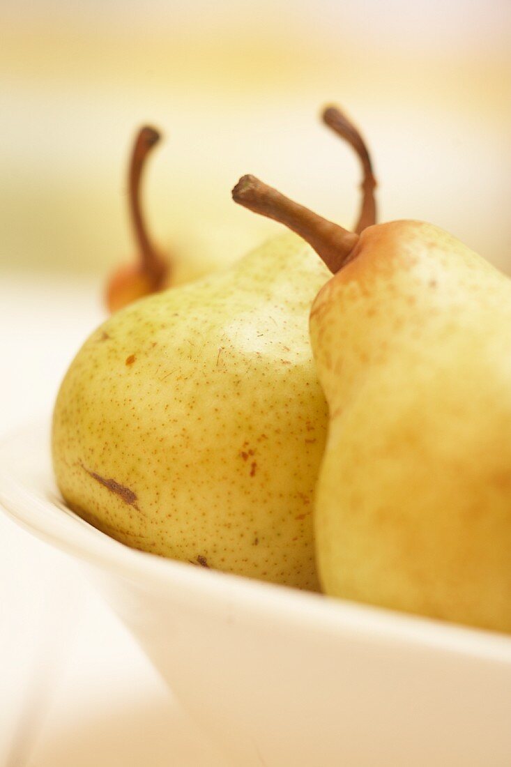 Pears in a bowl