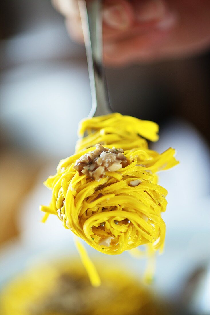 Tagliolini porcini mushroom ragout on a fork