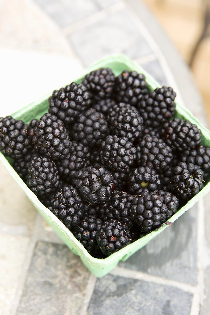 A bowl of ripe blackberries