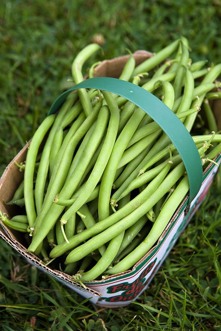 Green beans in a basket