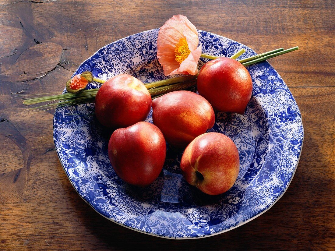 Five Whole Nectarines on Blue Plate