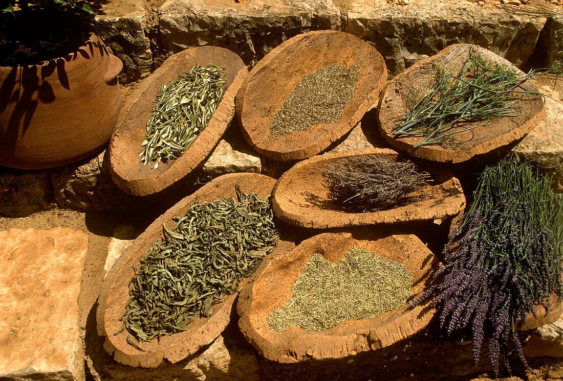 Still Life : Assorted Dried Herbs