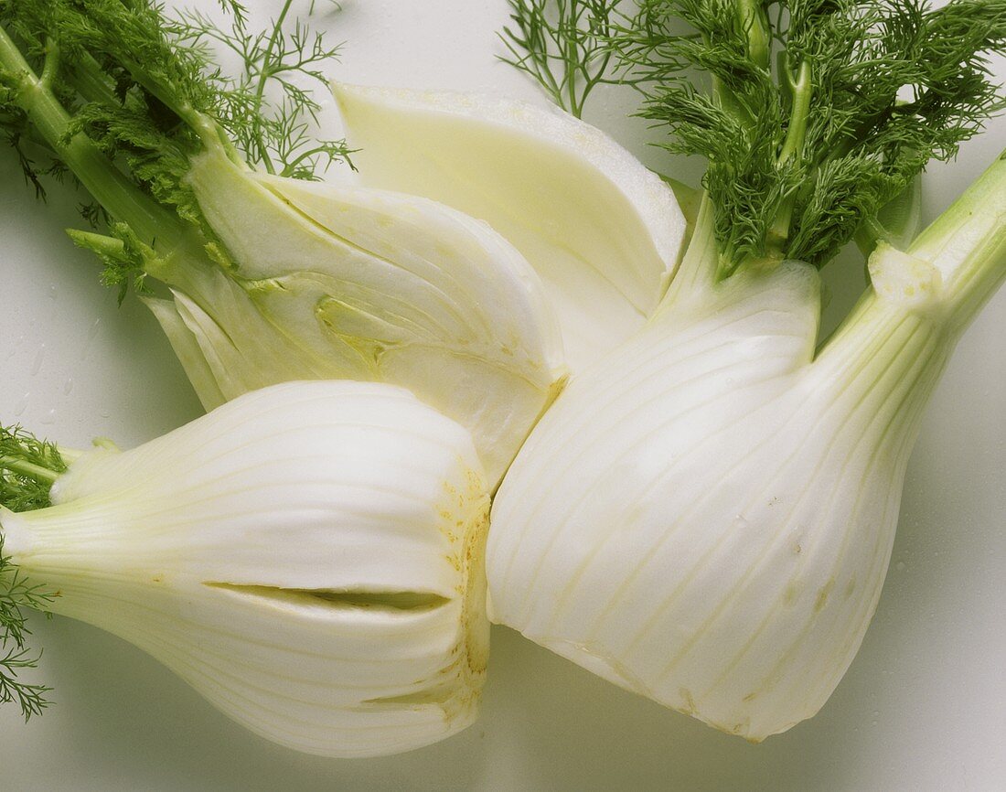 Fennel Cut