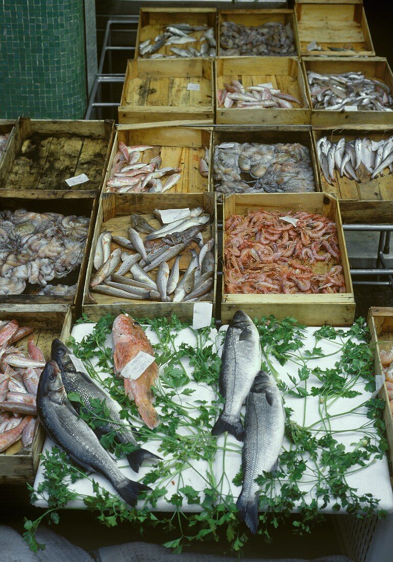 Fische & Meeresfrüchte in Steigen auf Fischmarkt, Mailand
