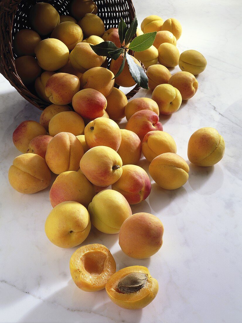 Apricots in and in front of a basket