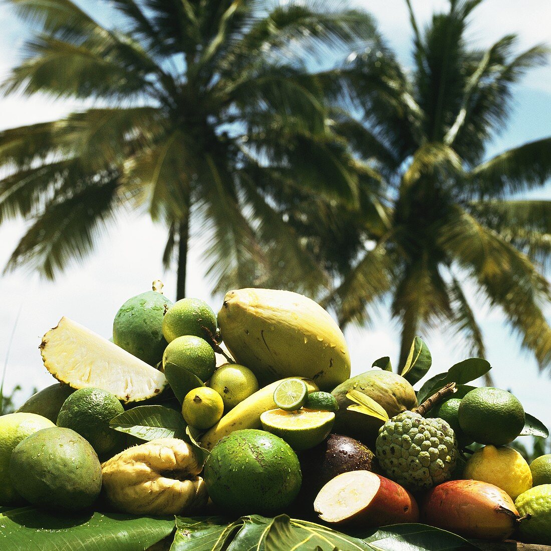 Exotic fruit in front of palm trees