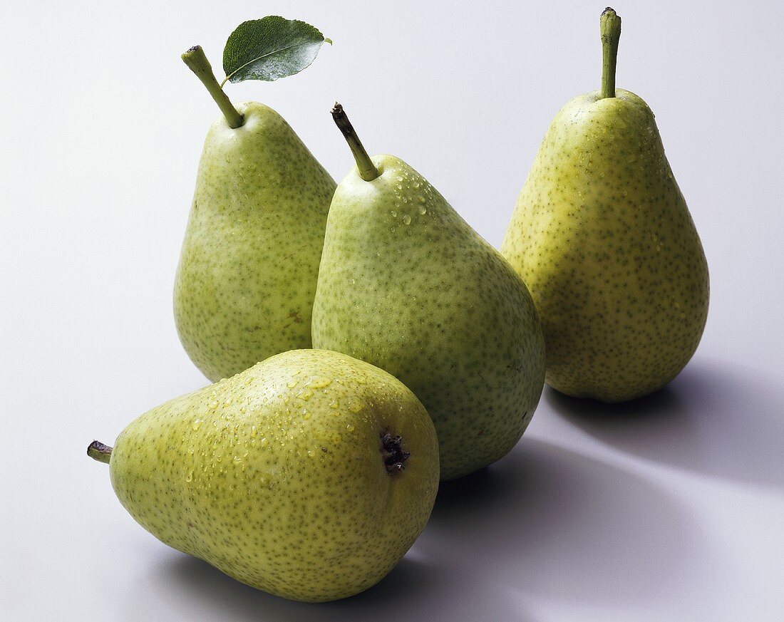 Four 'Dr. Guyot' pears (Pyrus communis)