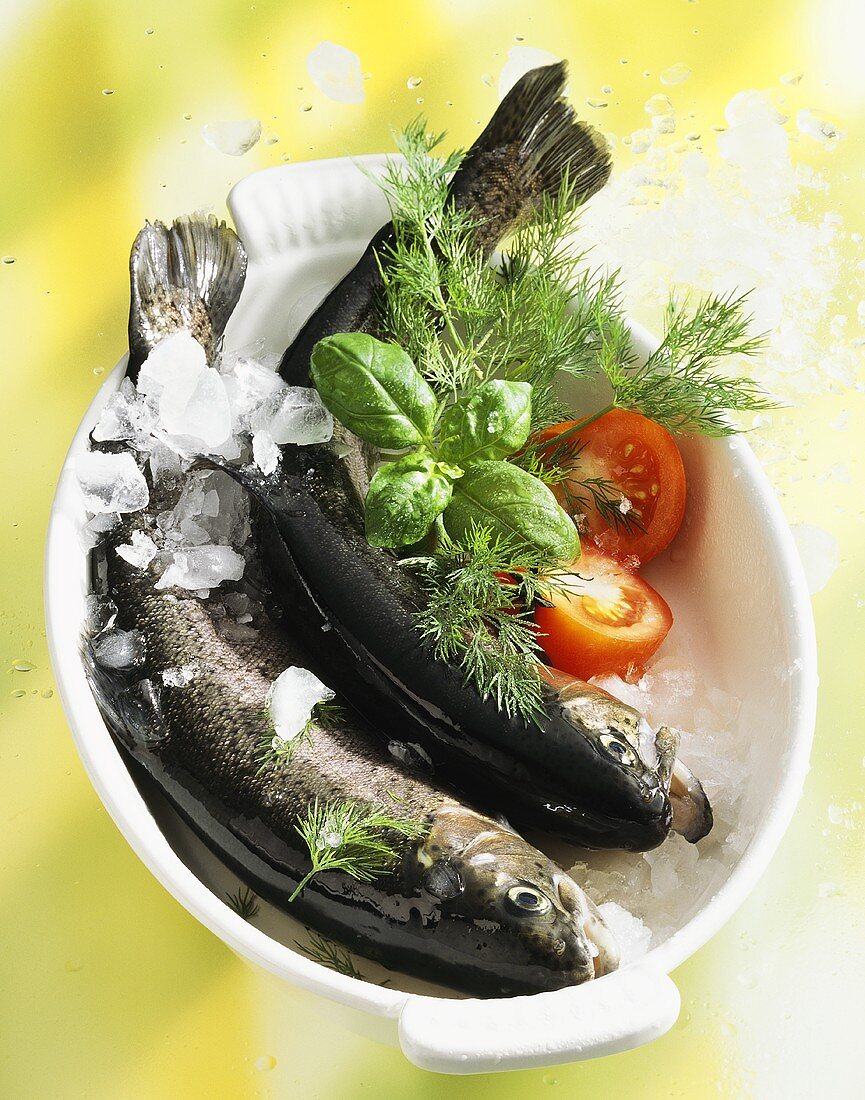 Chilled trout with herbs in a bowl