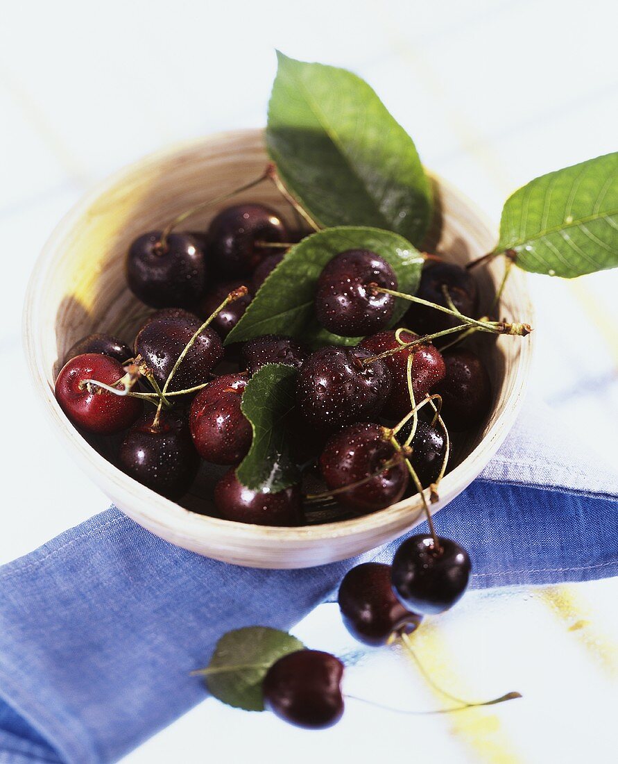 Sweet cherries (Prunus avium 'Sam') in a bowl