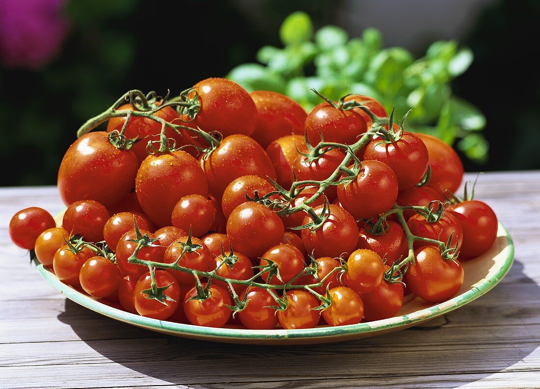 Fresh vine tomatoes on plate in open air