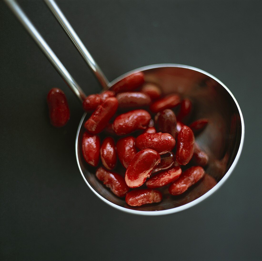 Tinned kidney beans in ladle