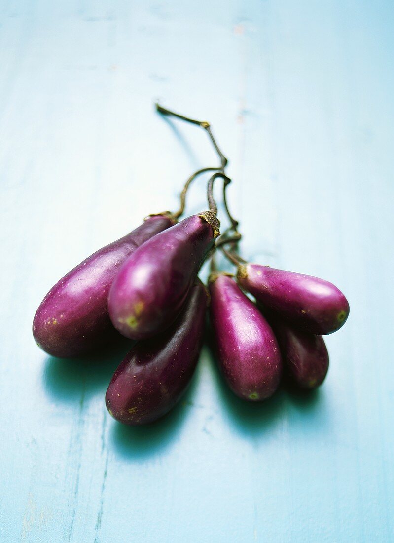 Aubergines on pale-blue background