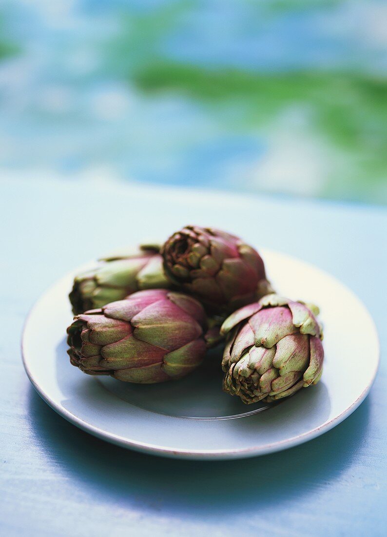 Artichokes on white plate