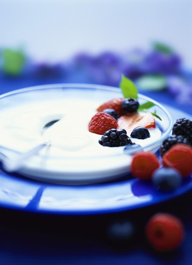 Joghurt mit frischen Beeren