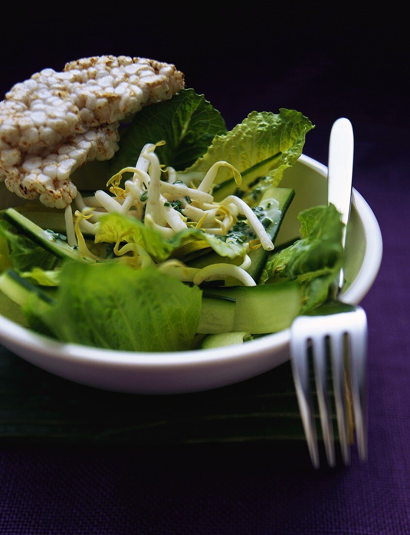 Romaine lettuce with cucumber, sprouts and rice wafers