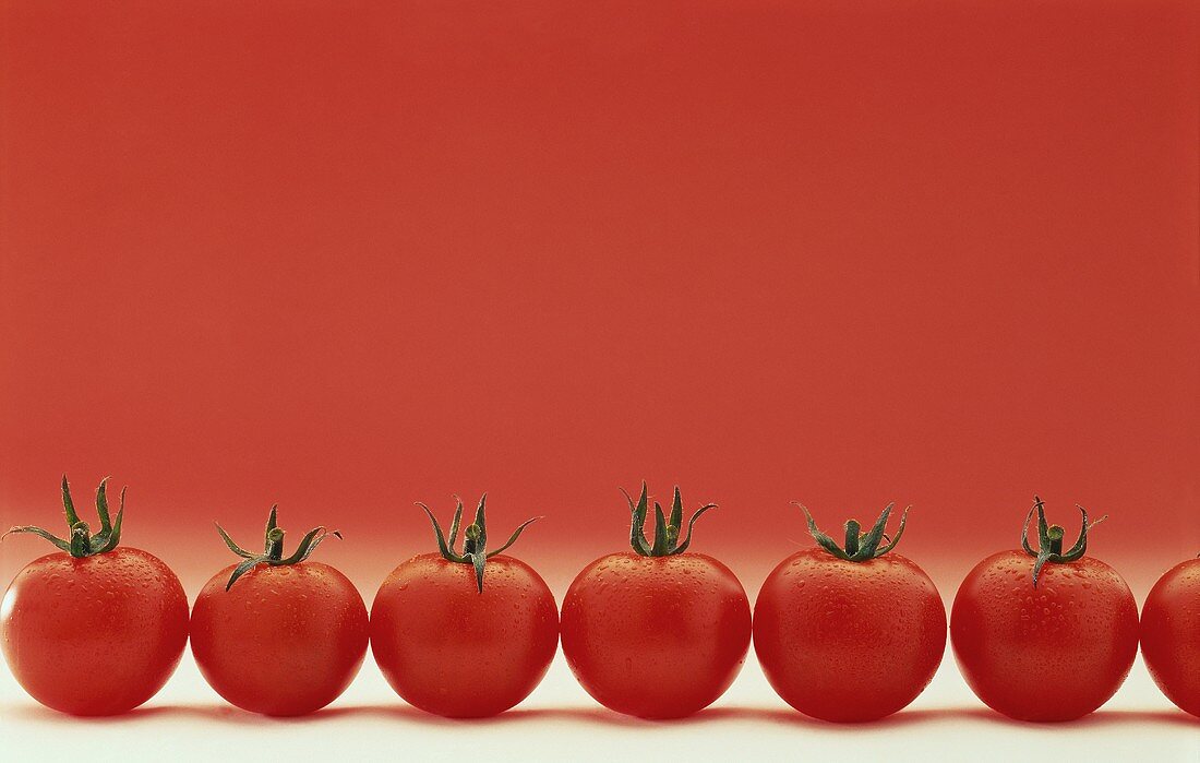 Tomaten mit Wassertropfen in einer Reihe