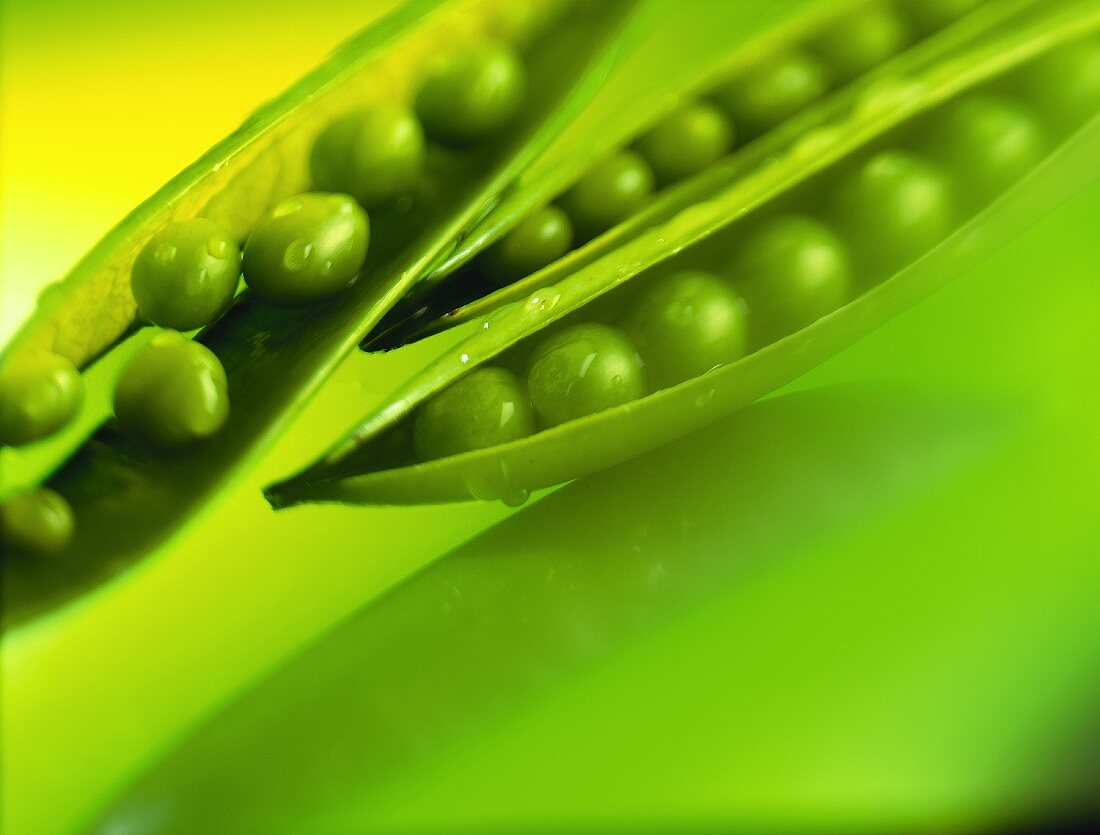 Peas in opened pods