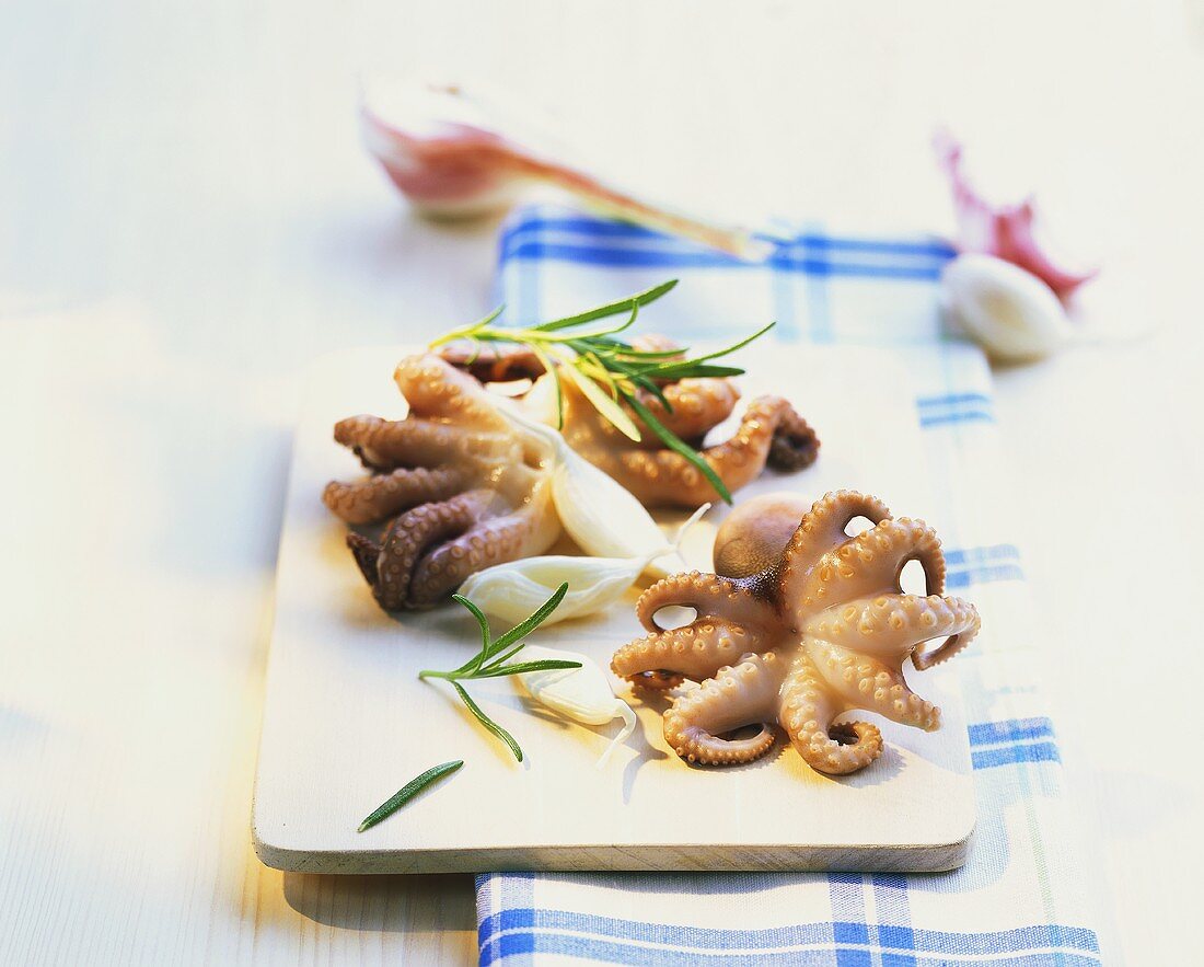 Fresh mini-octopuses on chopping board