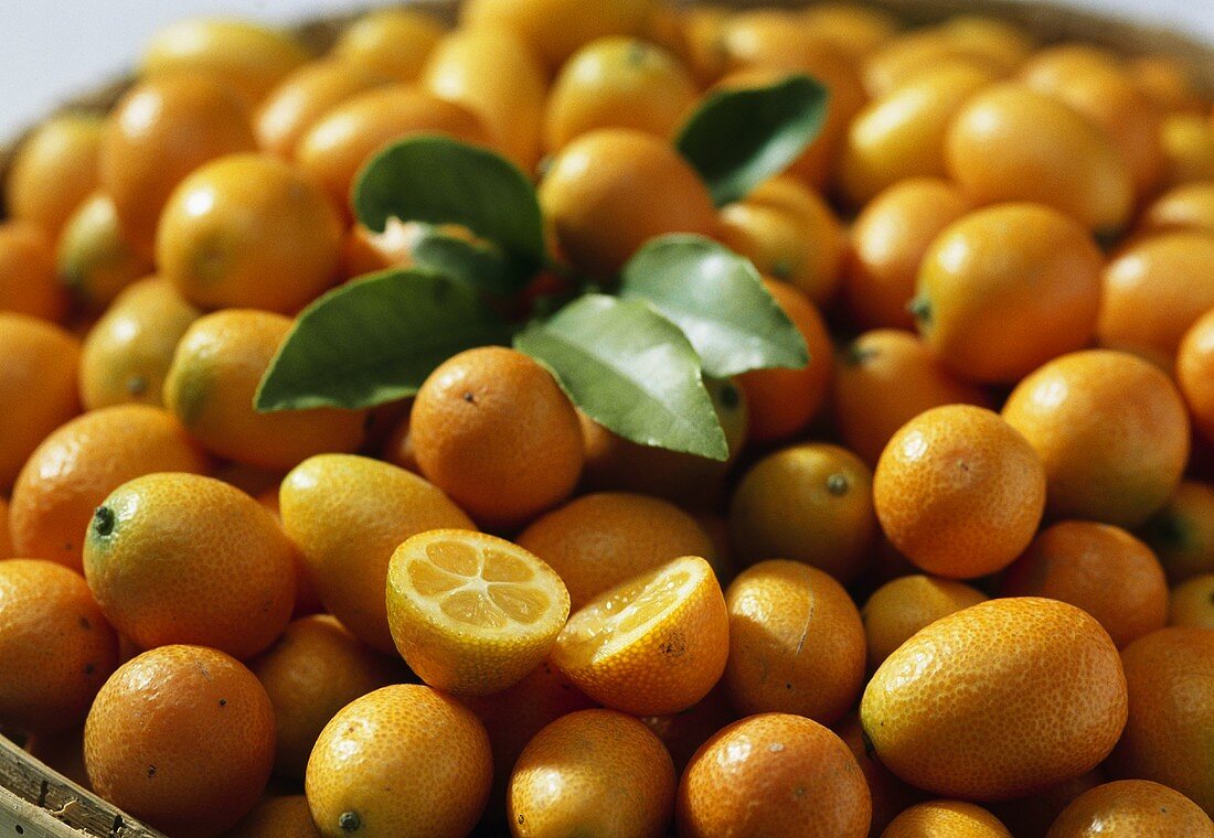 Kumquats, Sorte Moyen (Fortunella margarita) aus Marokko