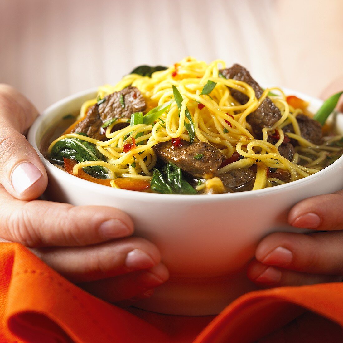 Noodle soup with beef and vegetables