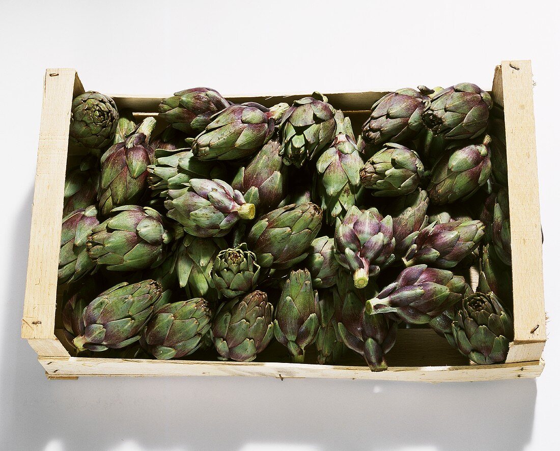 Baby artichokes in crate