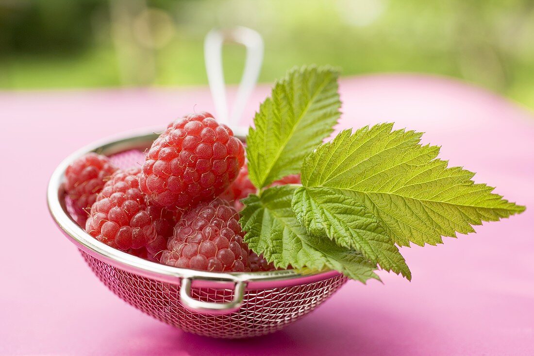 Himbeeren mit Blatt im Sieb