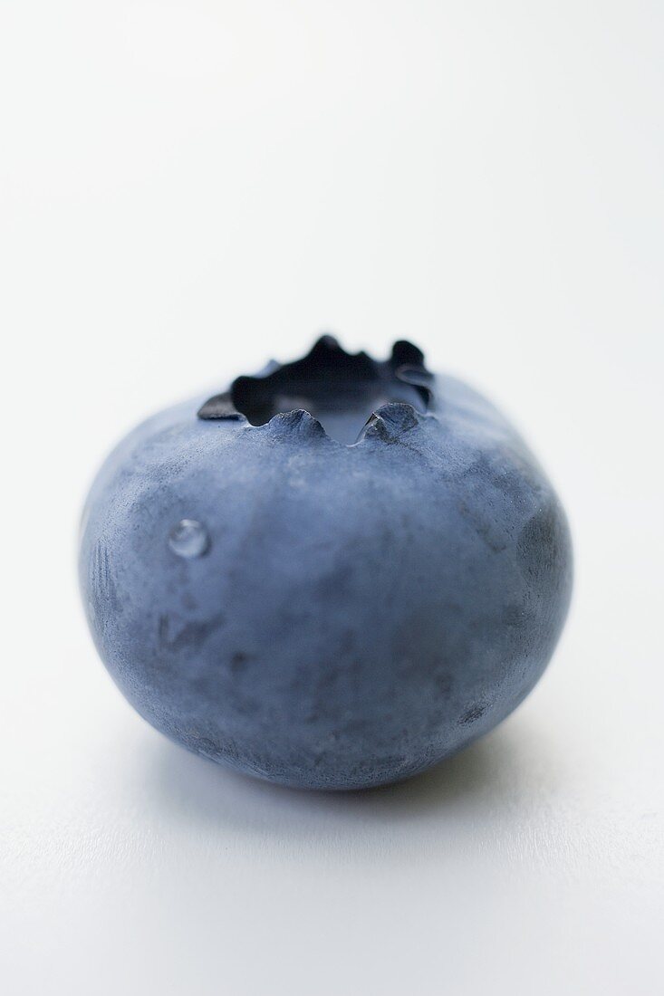 Blueberry with drop of water (close-up)