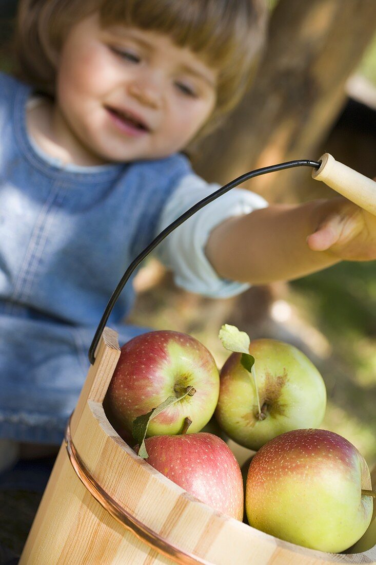 Kind greift nach Holzeimer mit Äpfeln