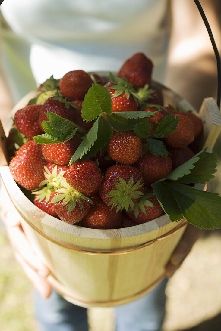 Woman holding wooden bucket full of fresh strawberries