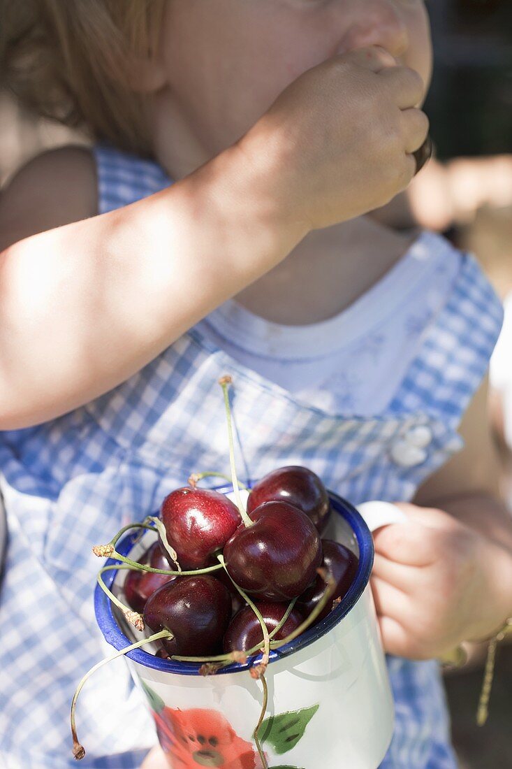 Small girl eating cherries out of a mug