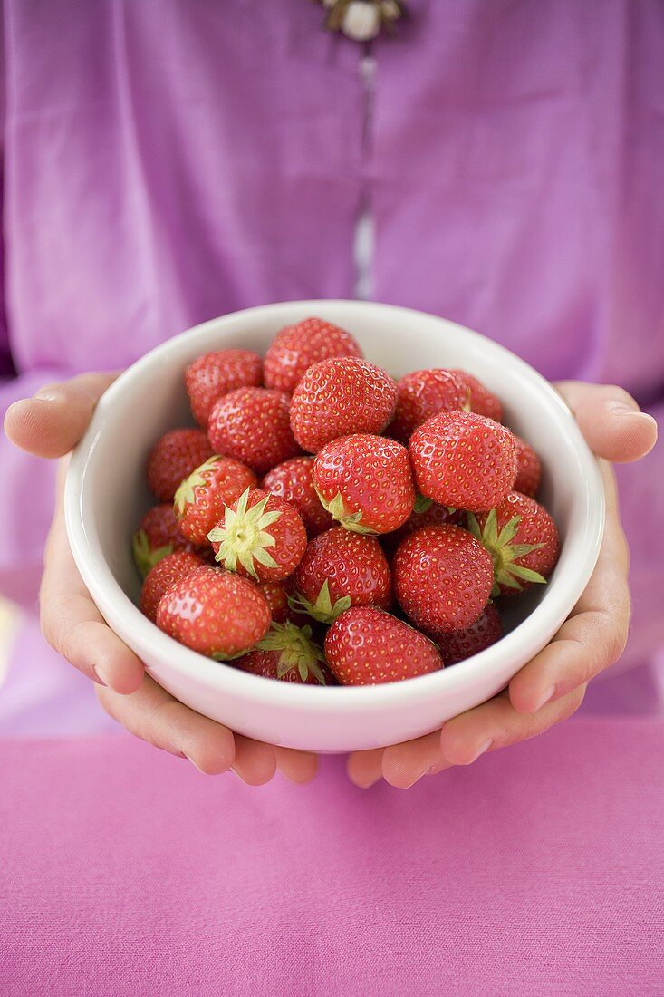 Hands holding bowl of fresh strawberries