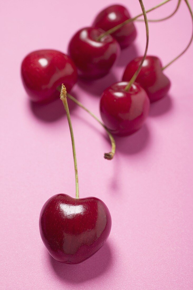 Several cherries on pink background
