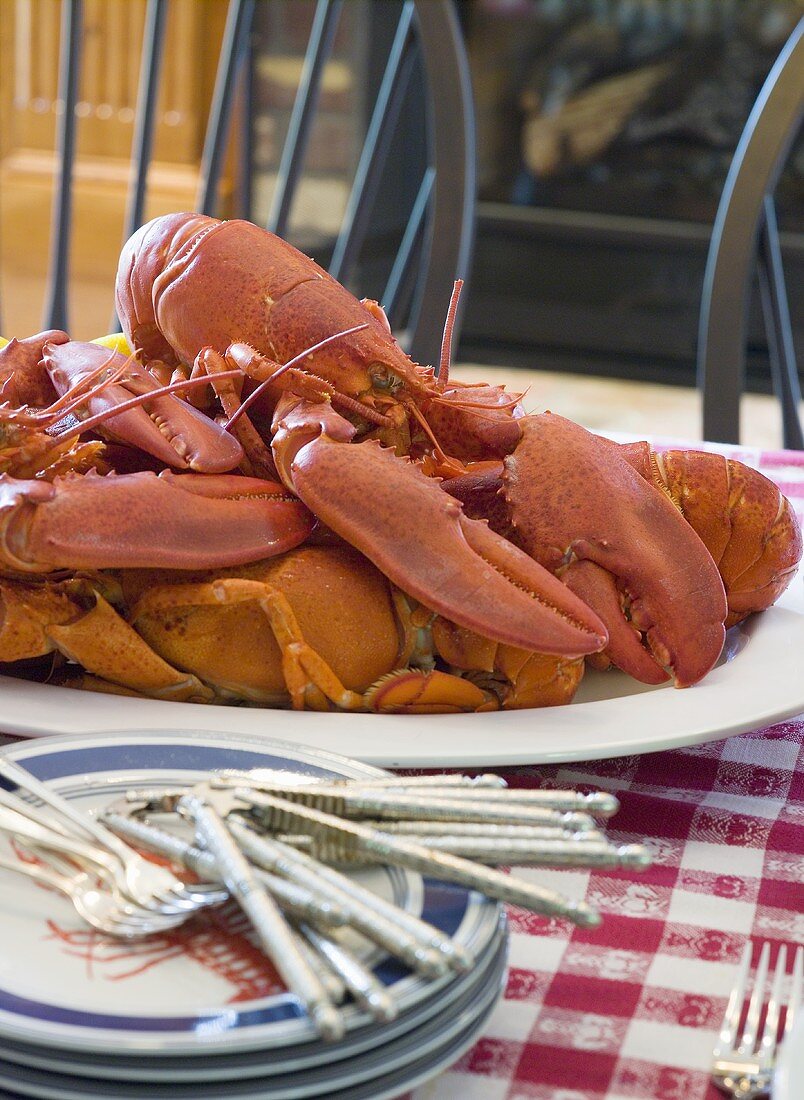Cooked lobster on laid table (USA)