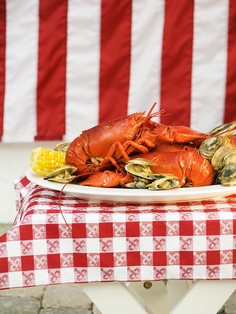 Lobster and clams on platter (USA)
