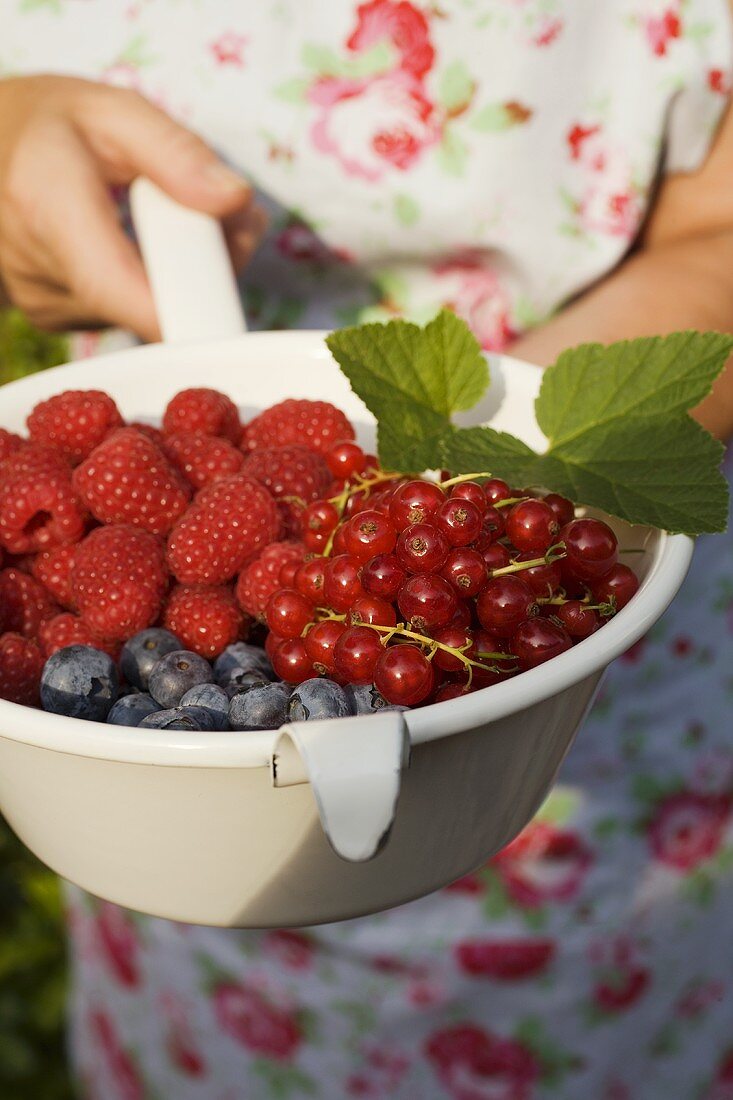 Frau hält Sieb mit verschiedenen Beeren