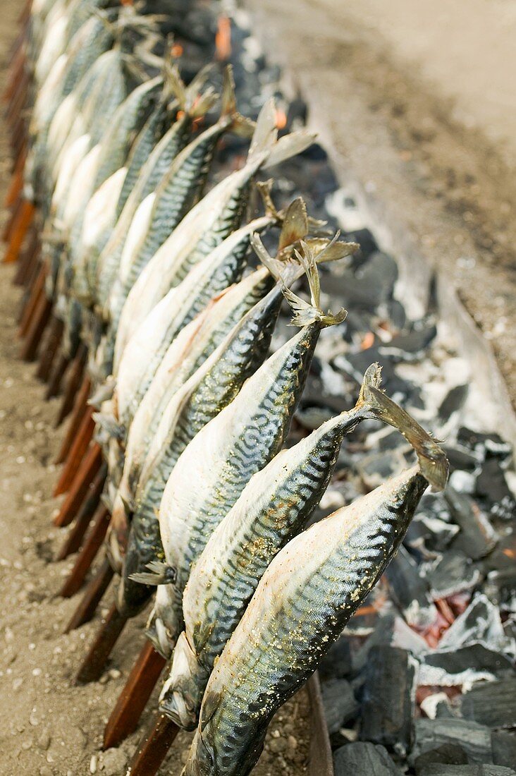 Steckerlfisch (skewered fish) on charcoal grill