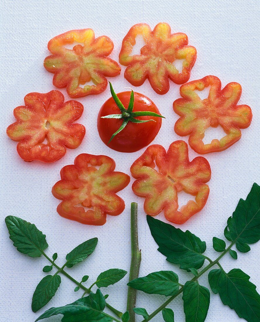 Blume aus Tomate, Tomatenscheiben und Tomatenblättern