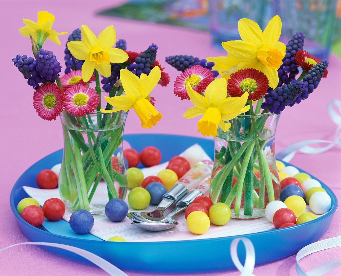 Colourful posies of narcissi and hyacinths for Easter