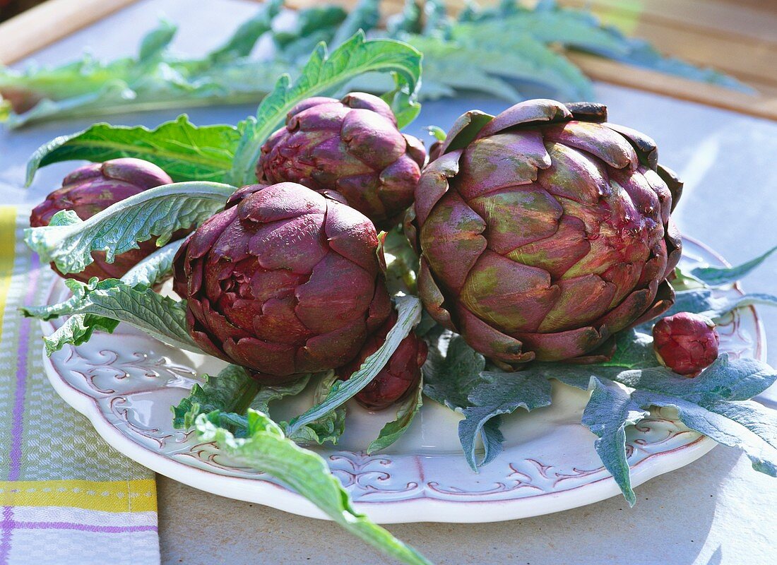 Artichokes with leaves on plate