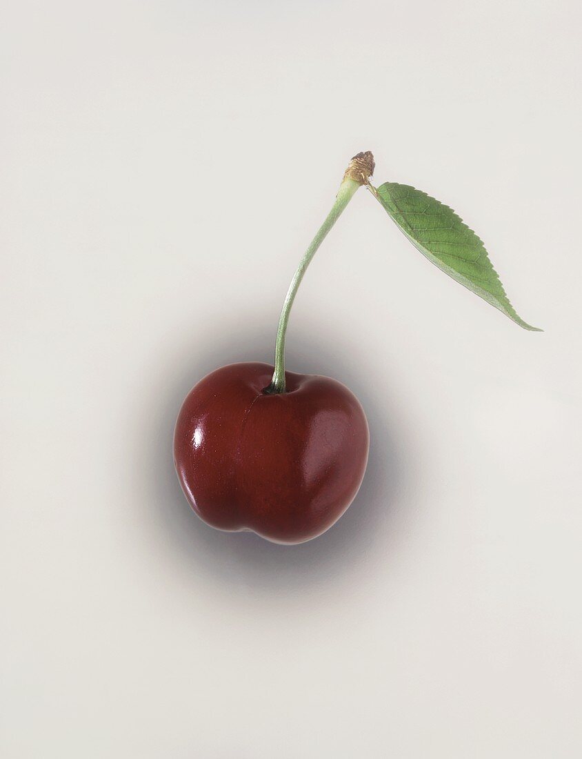 Cherry with stalk and leaf