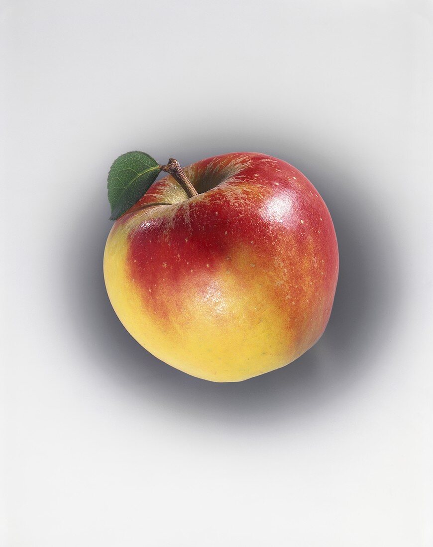 Rot-gelber Apfel mit Stiel und Blatt