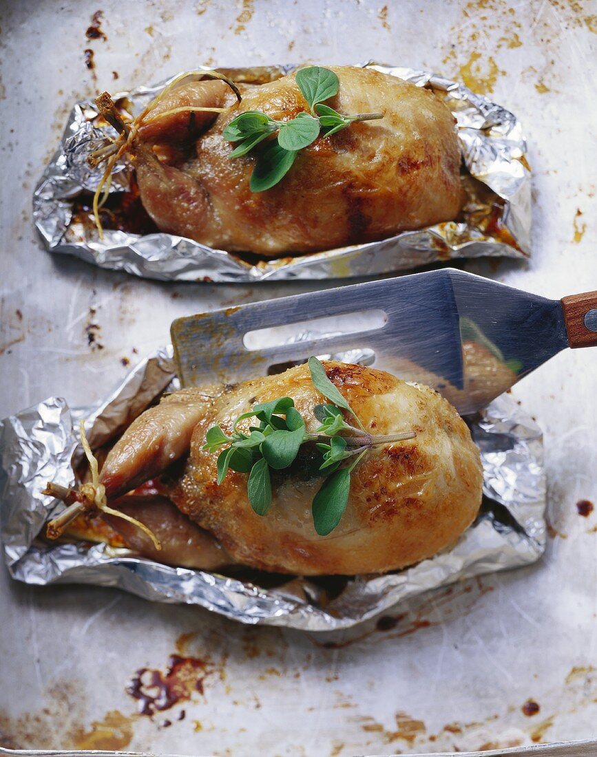 Stuffed quail in aluminium foil