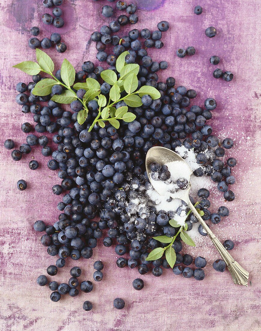 Heidelbeeren mit Blättern und Zucker