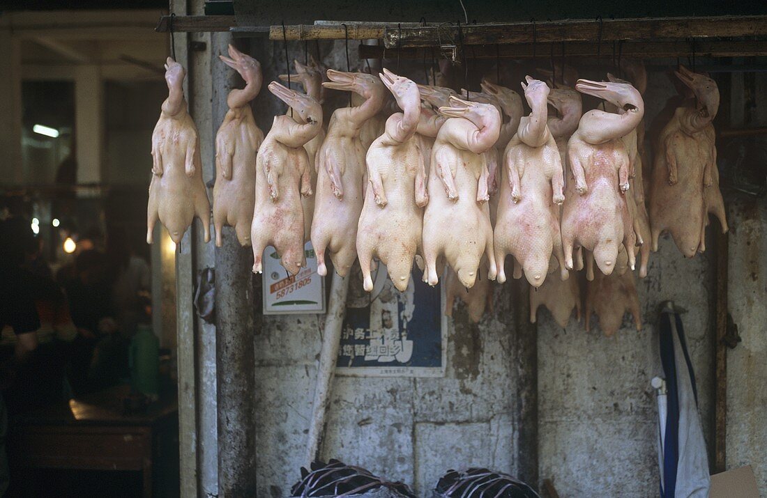 Gerupfte Enten, aufgehängt, auf einem Markt in Shanghai