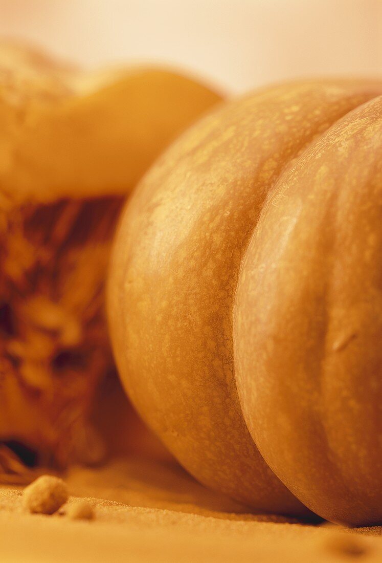 Orange pumpkin (detail)