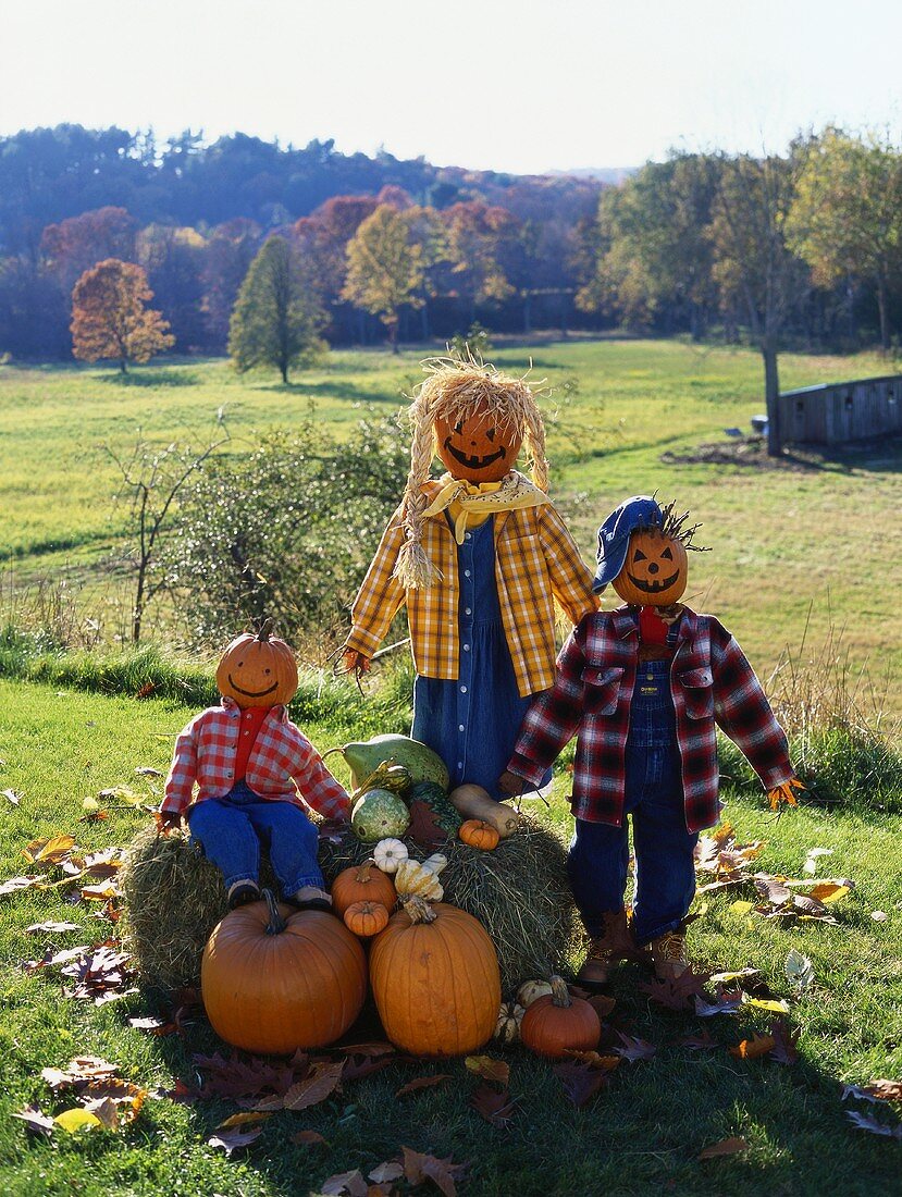 Kürbisfiguren auf einer Kürbisfarm