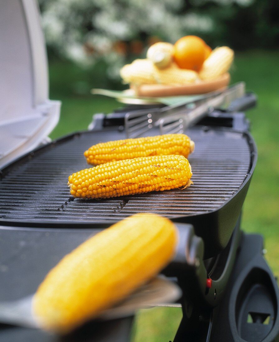 Corn on the cob on barbecue out of doors