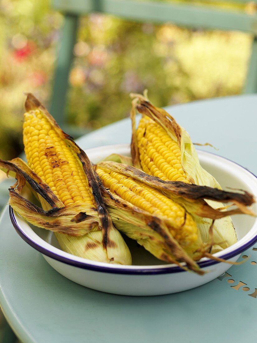Grilled corn on the cob in dish on garden table