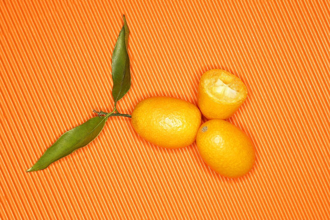 Kumquats auf orangefarbenem Untergrund